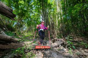 BIB: 
                            <button type="button" onclick="openModal(19393558)" class="btn btn-primary btn-sm float-right btn-popup" data-toggle="modal" data-target=".modal-high-quality">
                        <i class="fas fa-shopping-cart"></i> Add to Cart
                    </button>
                                            <button type="button" onclick="isThisMe(19393558, true)" class="btn btn-success btn-sm float-right btn-popup btn-isme hidden" data-toggle="tooltip" data-placement="bottom" title="นี่คือรูปของคุณใช่ไหม คลิกที่นี่เพื่อเอาเข้าอัลบั้ม">
                        <i class="fas fa-plus"></i> Add to album
                    </button>
                    <button type="button" onclick="isThisMe(19393558, false)" class="btn btn-warning btn-sm float-right btn-popup btn-isnotme hidden">
                        <i class="fas fa-ban"></i> Remove from album
                    </button>